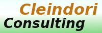 Cleindori Consulting Logo